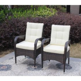 2-Piece Liberatore Dining Chairs with Cushions (Beige Cushion)