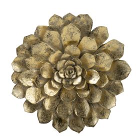 D10.2x2.4" Succulent Wall Plaque